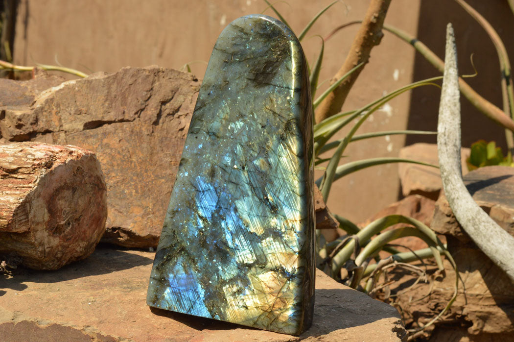 Polished Extra Large Labradorite Standing Free Form x 1 From Tulear, Madagascar - TopRock