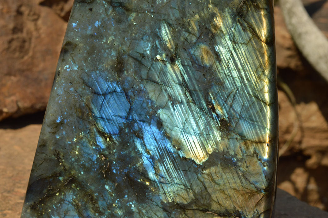 Polished Extra Large Labradorite Standing Free Form x 1 From Tulear, Madagascar - TopRock