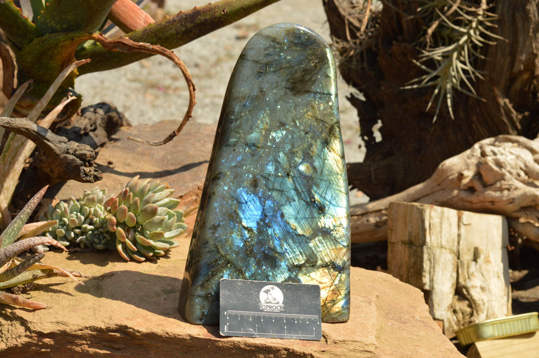 Polished Extra Large Labradorite Standing Free Form x 1 From Tulear, Madagascar - TopRock
