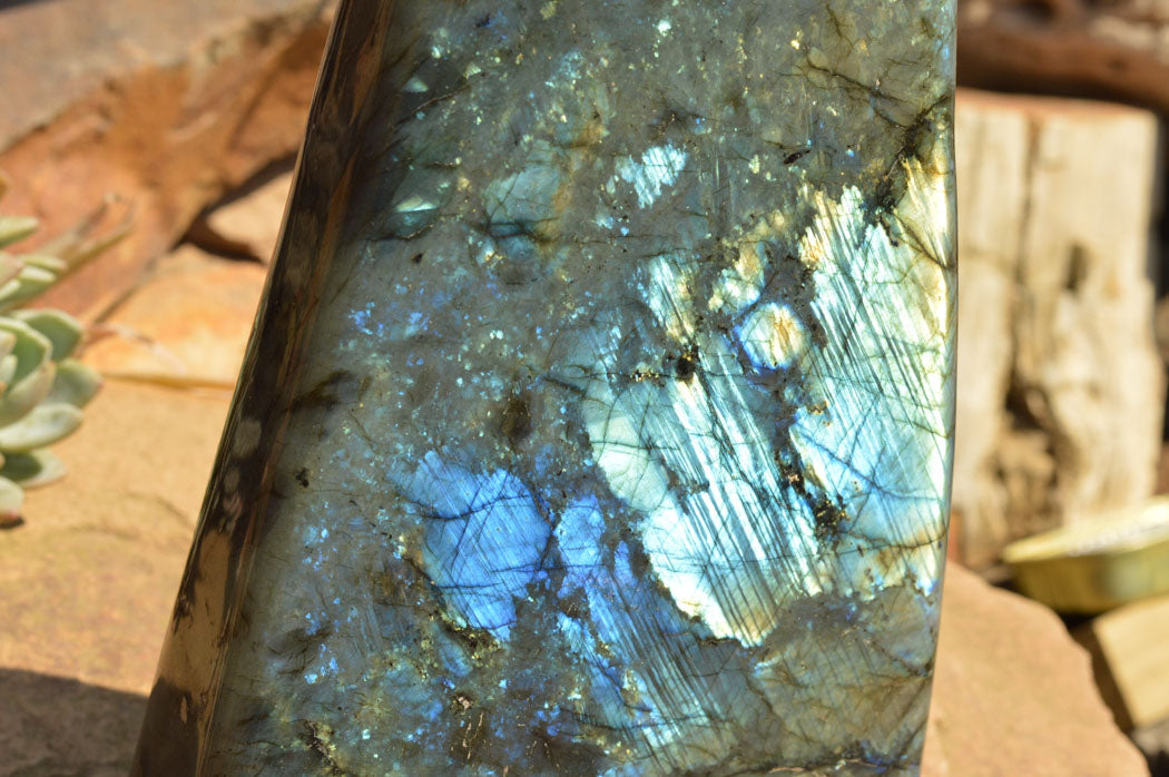 Polished Extra Large Labradorite Standing Free Form x 1 From Tulear, Madagascar - TopRock