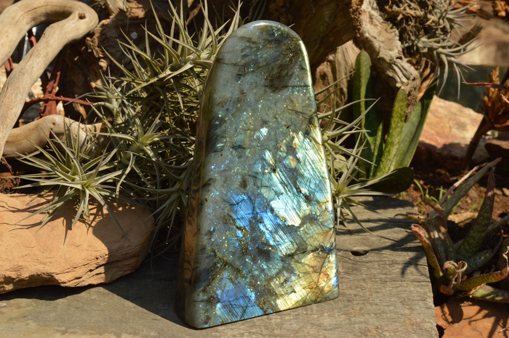 Polished Extra Large Labradorite Standing Free Form x 1 From Tulear, Madagascar - TopRock