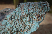 Natural Drusy Coated Chrysocolla & Malachite Specimens x 4 From Likasi, Congo - Toprock Gemstones and Minerals