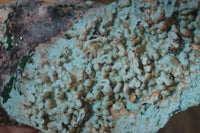 Natural Drusy Coated Chrysocolla & Malachite Specimens x 4 From Likasi, Congo - Toprock Gemstones and Minerals