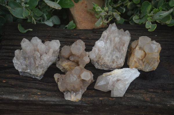 Natural Cascading White Phantom Smokey Quartz Specimens  x 6 From Luena, Congo - Toprock Gemstones and Minerals 