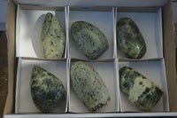 Polished Leopard Stone Standing Free Forms x 6 From Zimbabwe - Toprock Gemstones and Minerals