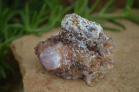 Natural Rare Spirit Ametrine Quartz Specimens  x 6 From Boekenhouthoek, South Africa - Toprock Gemstones and Minerals