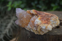Natural Rare Spirit Ametrine Quartz Specimens  x 6 From Boekenhouthoek, South Africa - Toprock Gemstones and Minerals