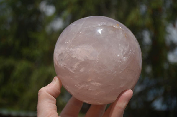 Polished Star Rose Quartz Sphere x 1 From Ambatondrazaka, Madagascar - TopRock