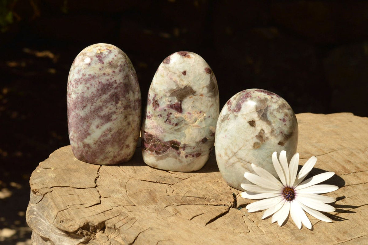 Polished Small Pink Tourmaline Rubellite Standing Free Forms x 3 From Madagascar - TopRock