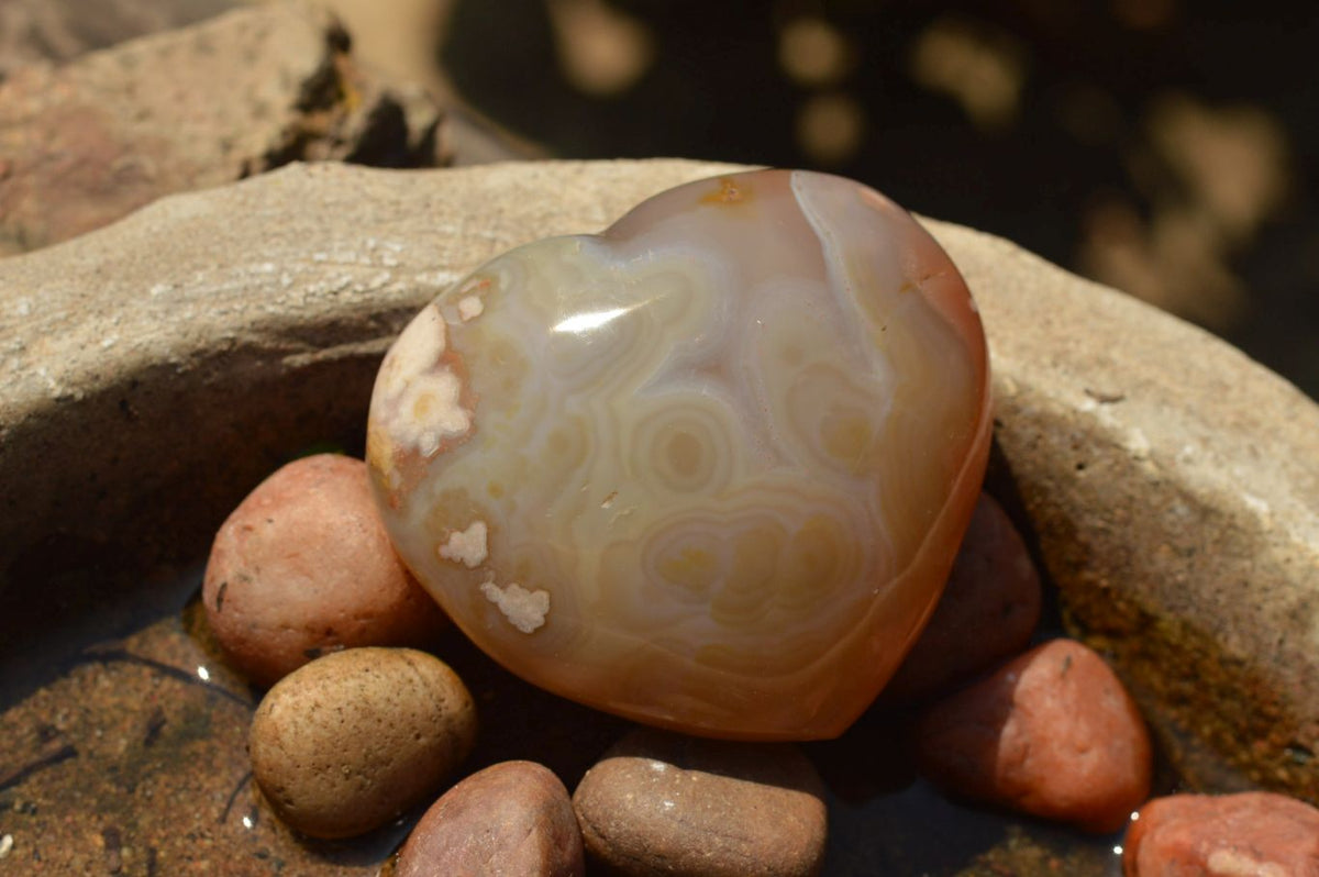 Polished Beautiful Coral Flower Agate Hearts x 6 From Antsahalova, Madagascar - TopRock