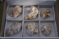 Natural Spirit Amethyst / Ametrine Quartz Clusters  x 6 From Boekenhouthoek, South Africa - Toprock Gemstones and Minerals