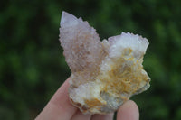 Natural Rare Spirit Ametrine Quartz Specimens  x 6 From Boekenhouthoek, South Africa - Toprock Gemstones and Minerals