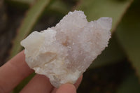 Natural Pale Lilac Spirit Quartz Clusters x 12 From Boekenhouthoek, South Africa - Toprock Gemstones and Minerals