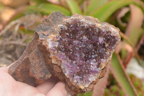 Natural Amethyst In Basalt Geode Specimens  x 3 From Zululand, South Africa - TopRock