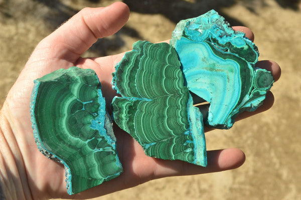 Polished Banded Malachite Slices With Chrysocolla Edging x 12 From Congo - TopRock