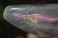 Polished Labradorite Standing Free Forms With Purple & Blue Flash  x 2 From Tulear, Madagascar - Toprock Gemstones and Minerals