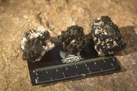Natural Small Schorl Black Tourmaline Specimens x 70 From Erongo, Namibia - Toprock Gemstones and Minerals