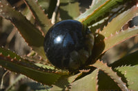 Polished Schorl Black Tourmaline Spheres x 3 From Madagascar - Toprock Gemstones and Minerals