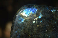 Polished Labradorite Standing Free Forms With Purple & Blue Flash  x 2 From Tulear, Madagascar - Toprock Gemstones and Minerals