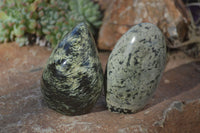 Polished Leopard Stone Standing Free Forms x 6 From Zimbabwe - Toprock Gemstones and Minerals
