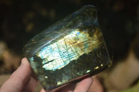 Polished Labradorite Standing Free Forms With Purple & Blue Flash  x 2 From Tulear, Madagascar - Toprock Gemstones and Minerals