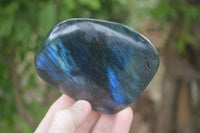 Polished Labradorite Standing Free Forms With Purple & Blue Flash  x 2 From Tulear, Madagascar - Toprock Gemstones and Minerals