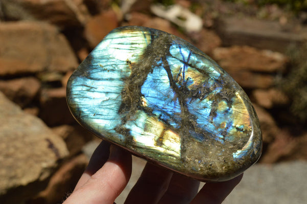 Polished Labradorite Standing Free Forms With Intense Blue & Gold Flash x 2 From Sakoany, Madagascar - TopRock