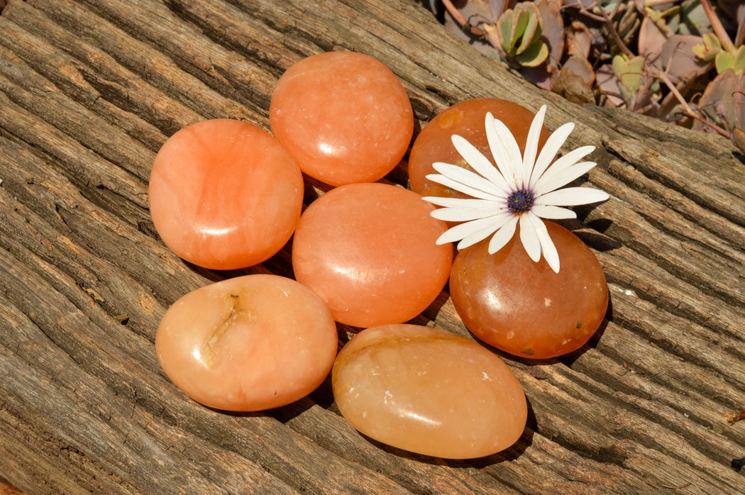 Polished Vibrant Orange Twist Calcite Palm Stones x 12 From Madagascar - TopRock