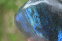 Polished Labradorite Standing Free Forms With Purple & Blue Flash  x 2 From Tulear, Madagascar - Toprock Gemstones and Minerals