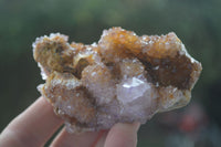Natural Rare Spirit Ametrine Quartz Specimens  x 6 From Boekenhouthoek, South Africa - Toprock Gemstones and Minerals