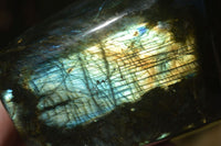 Polished Labradorite Standing Free Forms With Purple & Blue Flash  x 2 From Tulear, Madagascar - Toprock Gemstones and Minerals