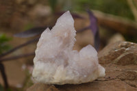 Natural Pale Lilac Spirit Quartz Clusters x 12 From Boekenhouthoek, South Africa - Toprock Gemstones and Minerals