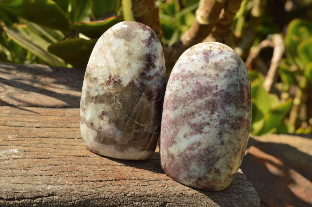 Polished Small Pink Tourmaline Rubellite Standing Free Forms x 3 From Madagascar - TopRock
