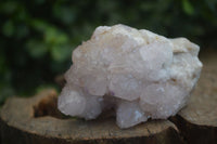 Natural Lilac Spirit Amethyst Quartz Clusters  x 6 From Boekenhouthoek, South Africa - Toprock Gemstones and Minerals