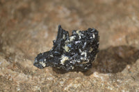 Natural Schorl Black Tourmaline Specimens x 70 From Erongo, Namibia - Toprock Gemstones and Minerals