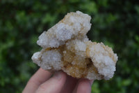 Natural Mixed Spirit Quartz Clusters  x 6 From Boekenhouthoek, South Africa - Toprock Gemstones and Minerals