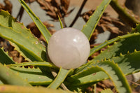 Polished Gemmy Pink Rose Quartz Spheres  x 6 From Ambatondrazaka, Madagascar - TopRock