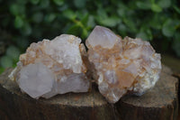 Natural Mixed Selection Of Spirit Amethyst Clusters  x 12 From Boekenhouthoek, South Africa - Toprock Gemstones and Minerals