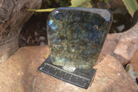 Polished Labradorite Standing Free Forms With Purple & Blue Flash  x 2 From Tulear, Madagascar - Toprock Gemstones and Minerals