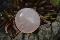Polished Gemmy Pink Rose Quartz Palm Stones  x 12 From Madagascar - Toprock Gemstones and Minerals