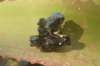 Natural Small Schorl Black Tourmaline Specimens x 70 From Erongo, Namibia - Toprock Gemstones and Minerals
