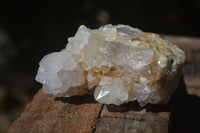 Natural Mixed Spirit Quartz Clusters  x 6 From Boekenhouthoek, South Africa - Toprock Gemstones and Minerals