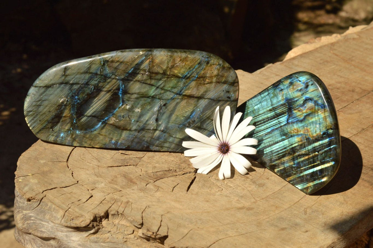 Polished Labradorite Standing Free Forms With Intense Blue & Gold Flash x 2 From Tulear, Madagascar - TopRock