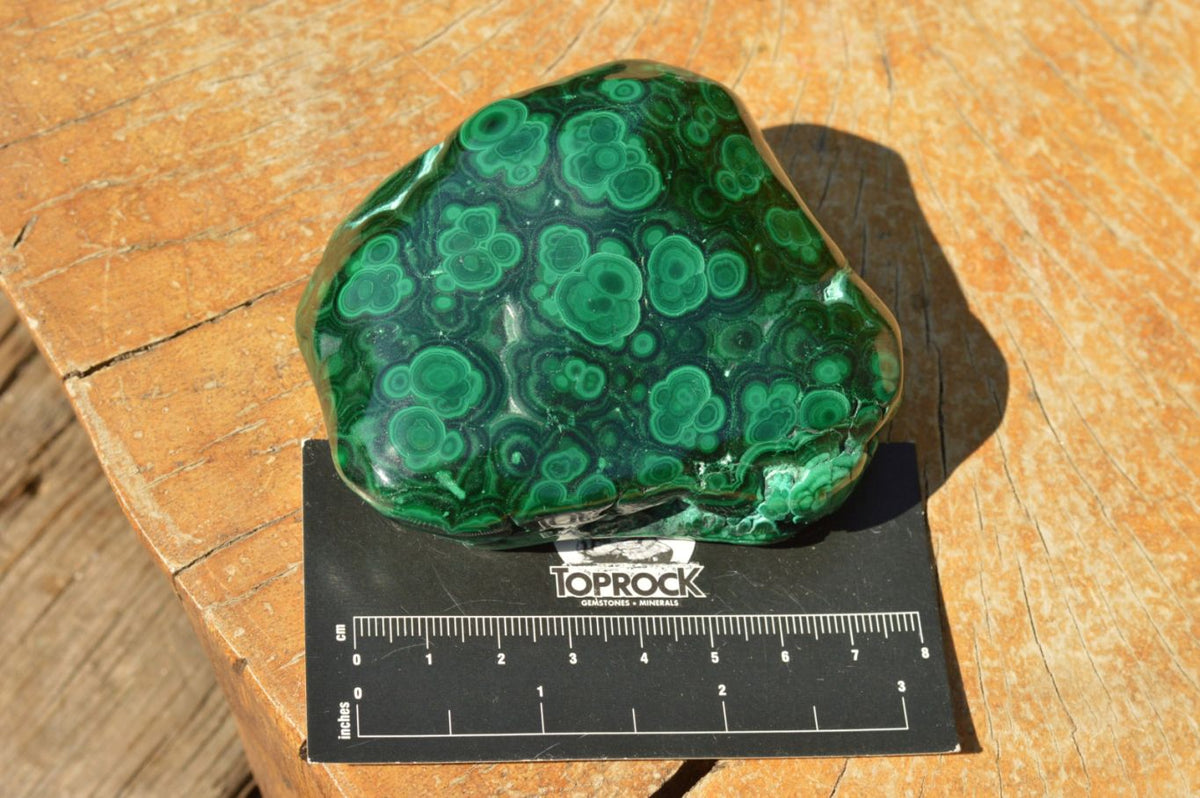 Polished Malachite Free Forms With Gorgeous Flower Patterns x 4 From Congo - TopRock