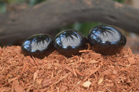 Polished Schorl Black Tourmaline Palm Stones  x 12 From Madagascar - Toprock Gemstones and Minerals
