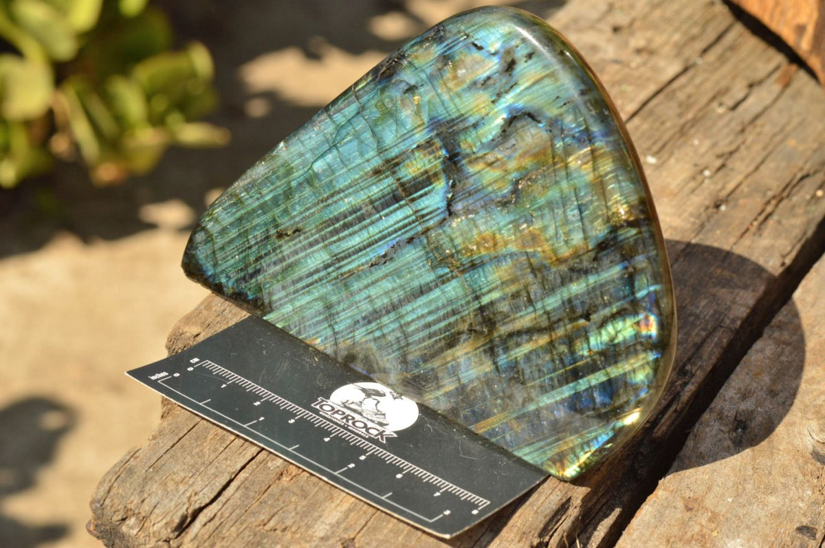 Polished Labradorite Standing Free Forms With Intense Blue & Gold Flash x 2 From Tulear, Madagascar - TopRock