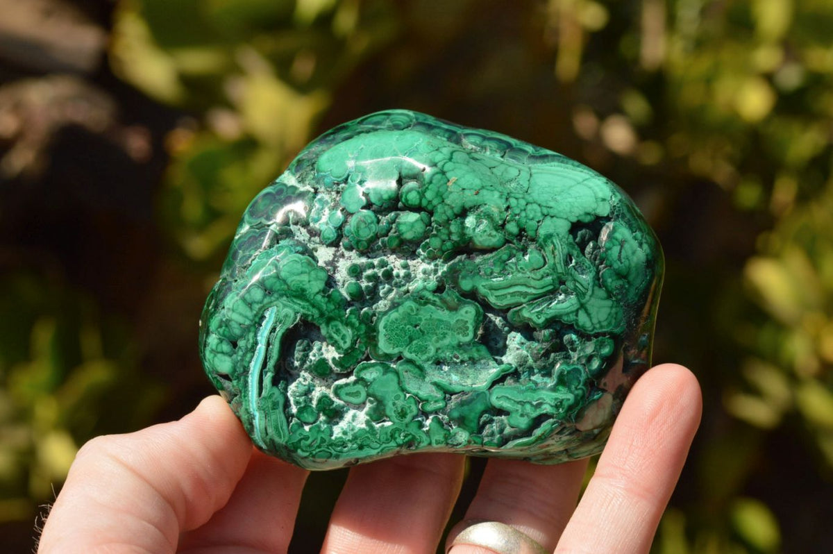 Polished Malachite Free Forms With Gorgeous Flower Patterns x 4 From Congo - TopRock