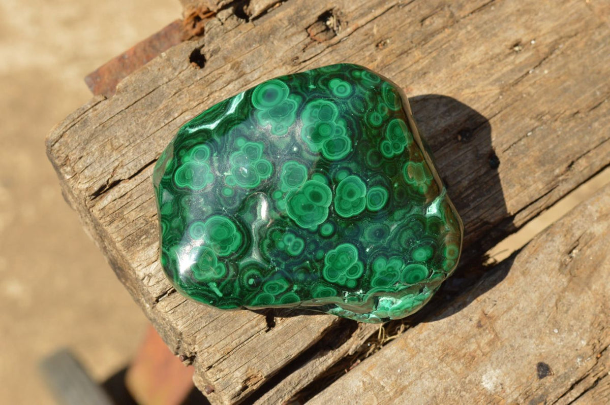 Polished Malachite Free Forms With Gorgeous Flower Patterns x 4 From Congo - TopRock