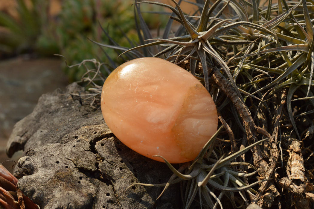 Polished Vibrant Orange Twist Calcite Palm Stones x 12 From Madagascar - TopRock