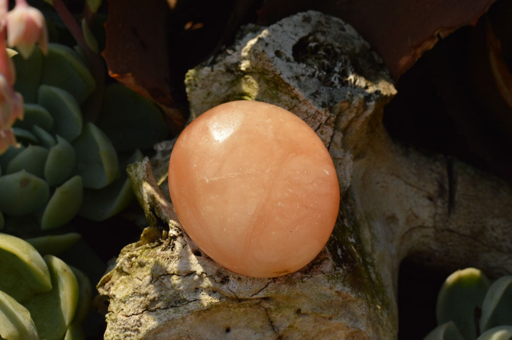 Polished Vibrant Orange Twist Calcite Palm Stones x 12 From Madagascar - TopRock